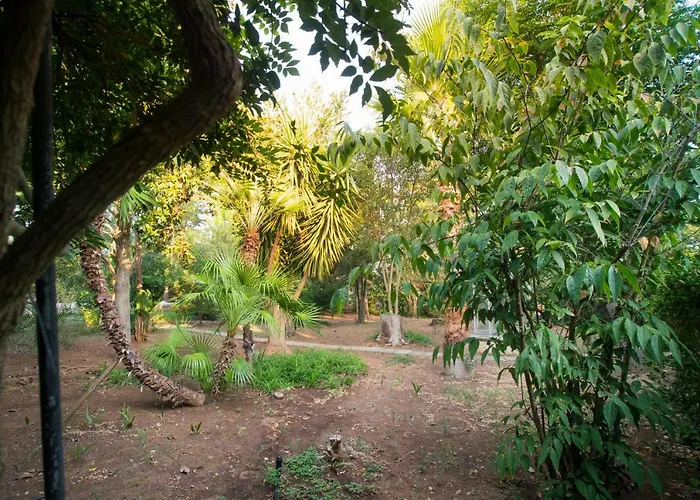 Con Piscina In 加拉蒂纳